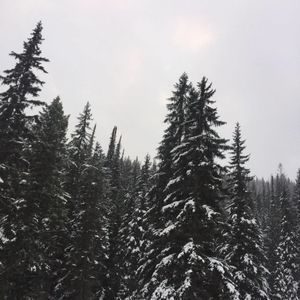 Meet your Posher, Zip